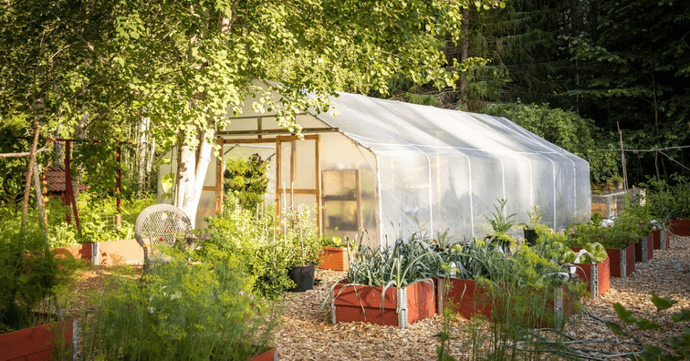 Zahrada na balkoně nebo celoroční pěstování? Přečtěte si tipy, jak vybrat správný skleník.